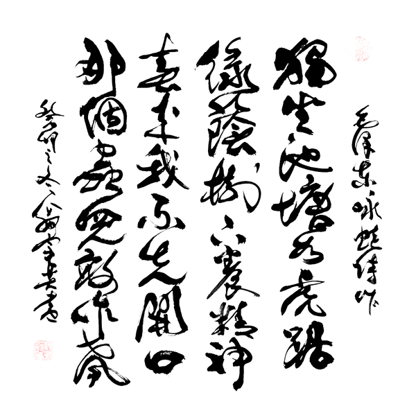 1716457156730324.jpg 7.jpg