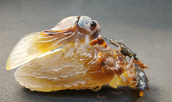 1720165106408503.jpg 7.jpg