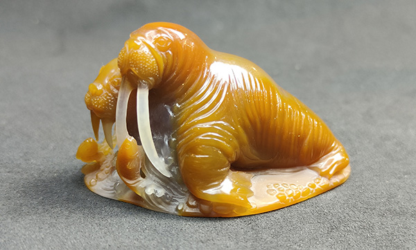 1720165131220758.jpg 9.jpg